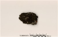 藏品(扁膠衣)的圖片